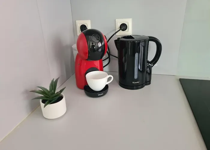 Mediterranee 150m De La Appartement